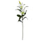 26.5” Lily Artificial Flower (Set of 12)-Parc Decor