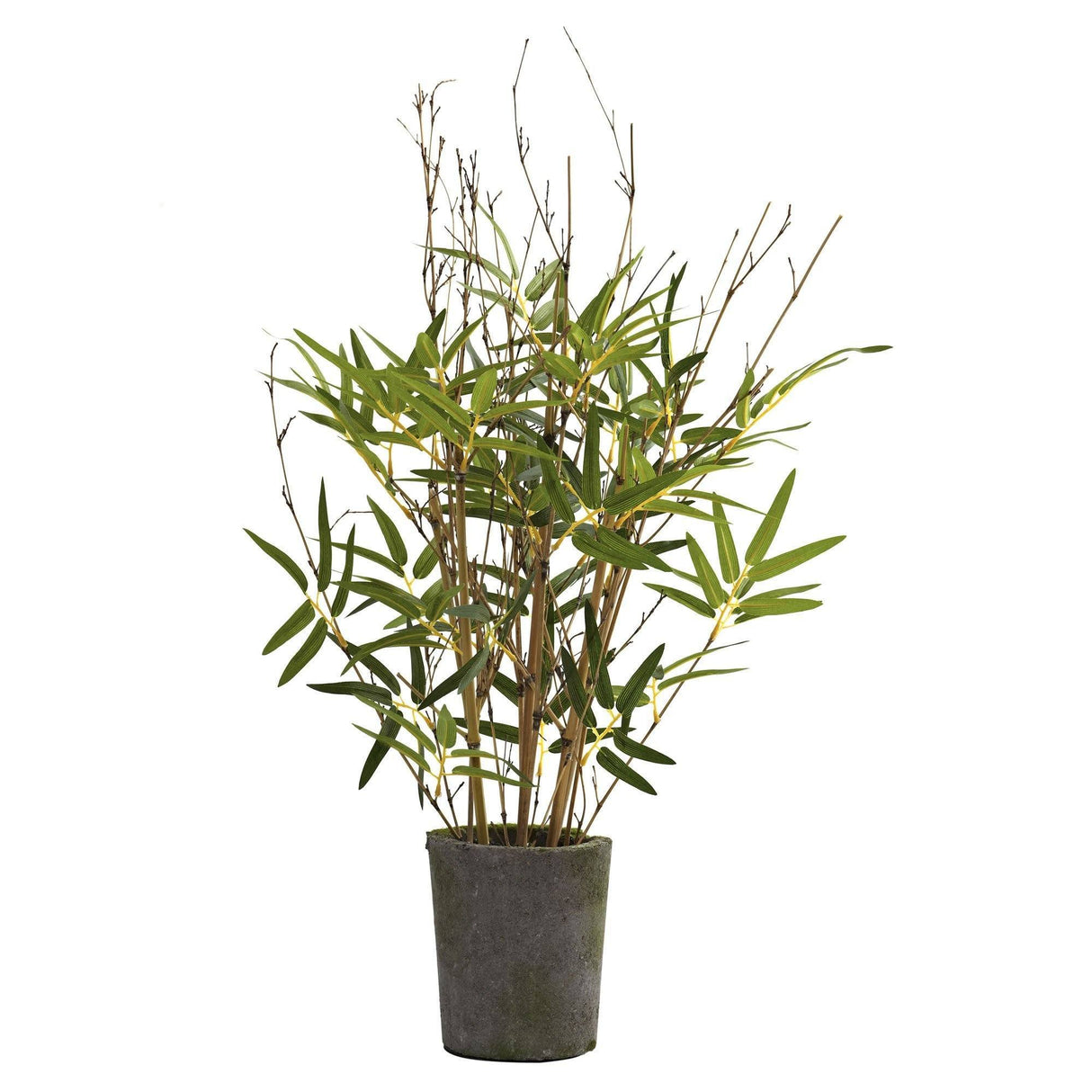 27” Bamboo Tree w/Cement Pot-Parc Decor