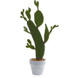 27” Cactus Artificial Plant-Parc Decor