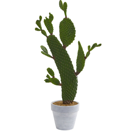 27” Cactus Artificial Plant-Parc Decor