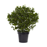 28” Peperomia Plant UV Resistant (Indoor/Outdoor)-Parc Decor