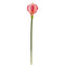 28” Calla Lily Artificial Flower (Set of 12)-Stem-Parc Decor