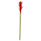 28” Mini Star Bromeliad Artificial Flower (Set of 6)-Stem-Parc Decor