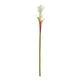 28” Mini Star Bromeliad Artificial Flower (Set of 6)-Stem-Parc Decor