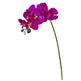 28” Orchid Phalaenopsis Artificial Flower Stem (Set of 6)-Stem-Parc Decor