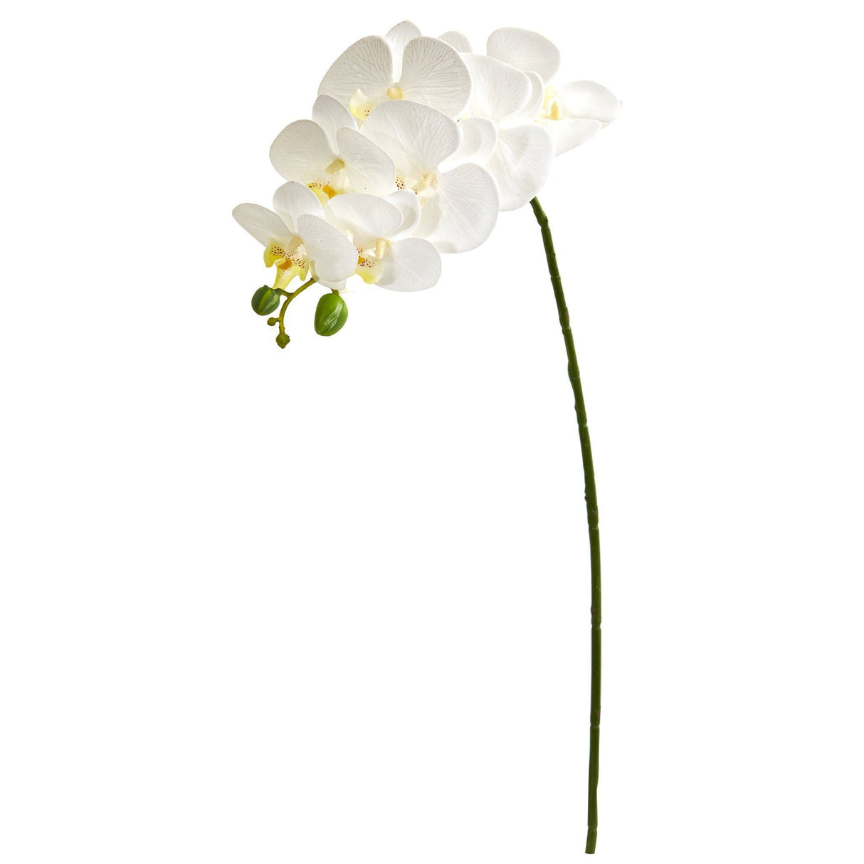 28” Orchid Phalaenopsis Artificial Flower Stem (Set of 6)-Stem-Parc Decor