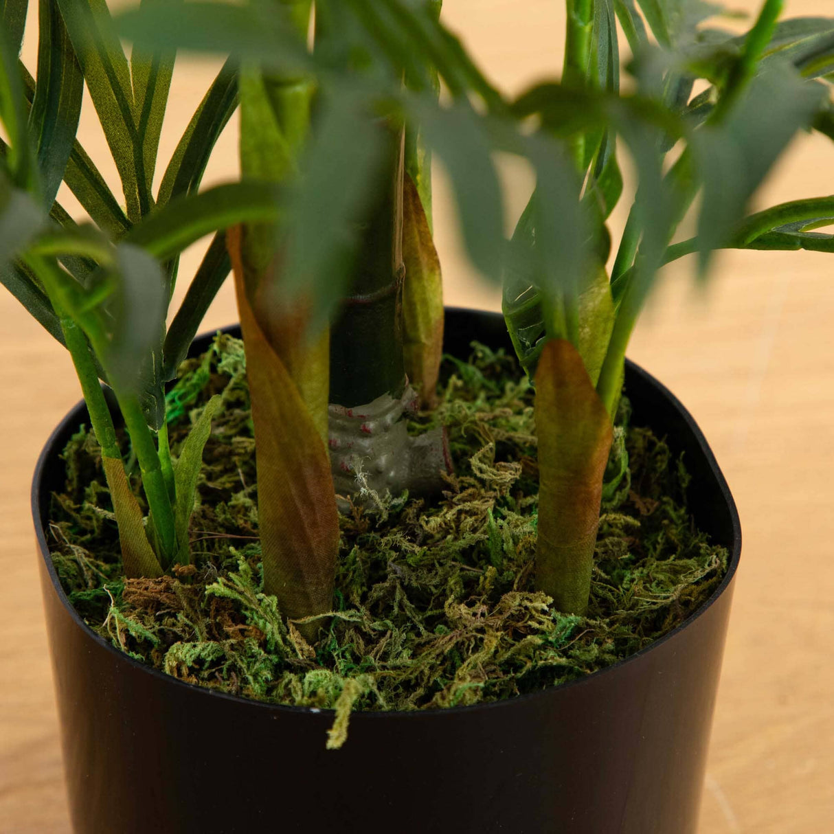 2.5' Areca Palm Tree UV Resistant (Indoor/Outdoor)-Parc Decor