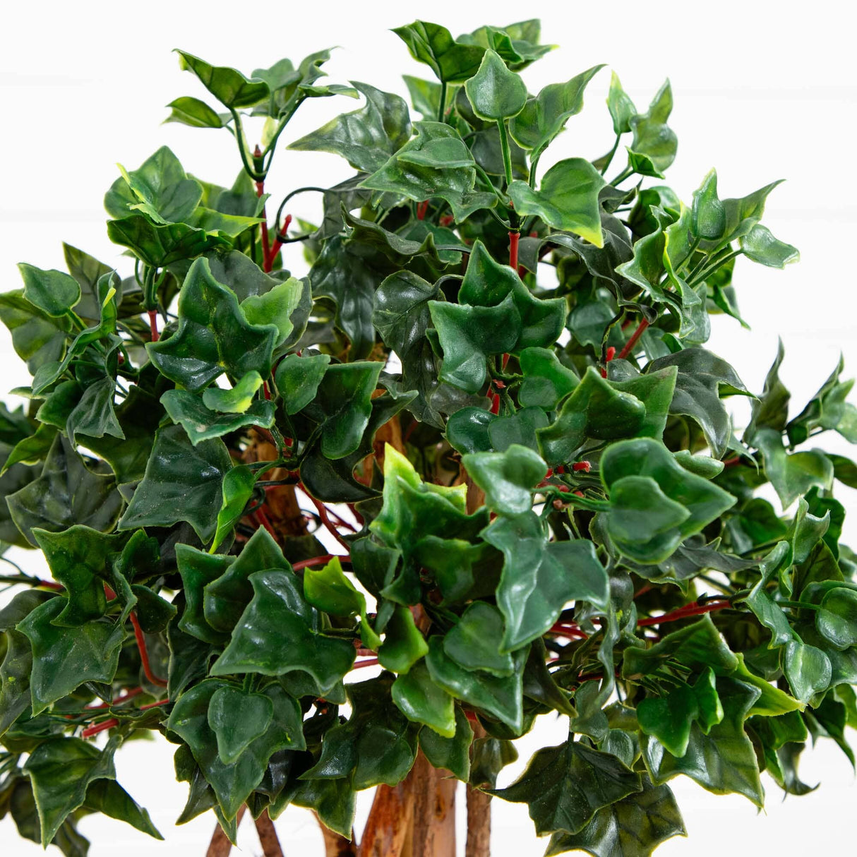 2.5’ English Ivy Topiary UV Resistant (Indoor/Outdoor)-Parc Decor