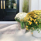 2.5' Grass Plant-Parc Decor