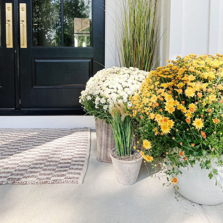 2.5' Grass Plant-Parc Decor