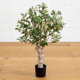 2.5' Olive Silk Tree-Parc Decor