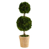 2.5’ Preserved Boxwood Double Ball Topiary Tree in Decorative Planter-Parc Decor