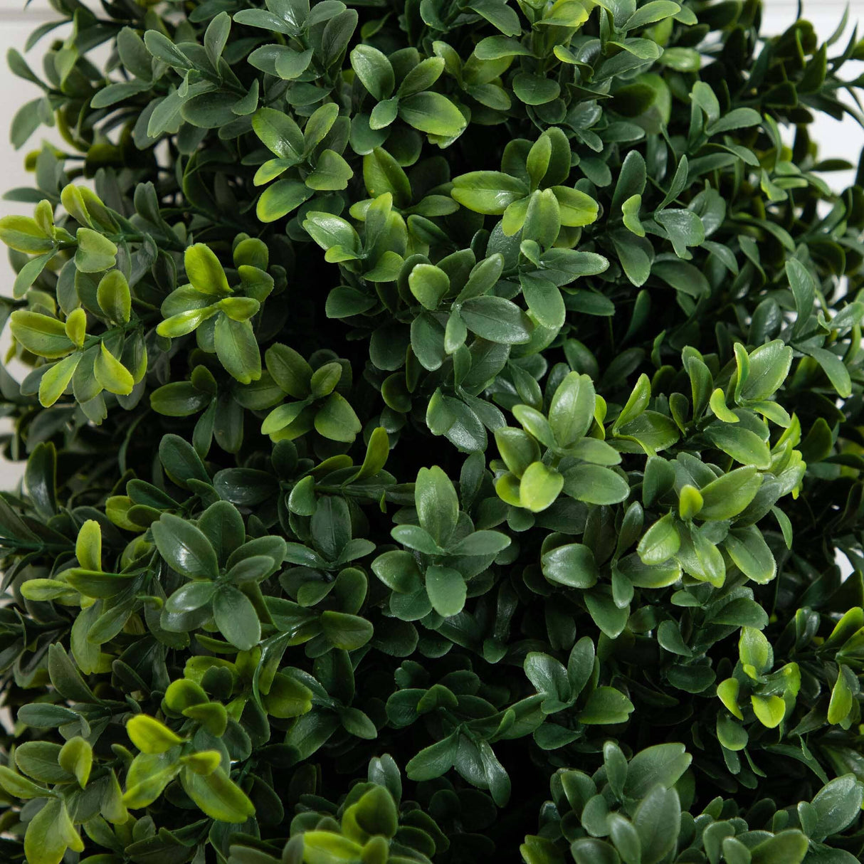 2.5' UV Resistant Artificial Boxwood Plant with Integrated Ground Stake (Indoor/Outdoor) - Set of 2-Plant-Parc Decor