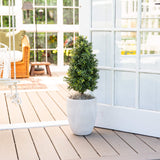 2.5' UV Resistant Artificial Boxwood Plant with Integrated Ground Stake (Indoor/Outdoor) - Set of 2-Plant-Parc Decor