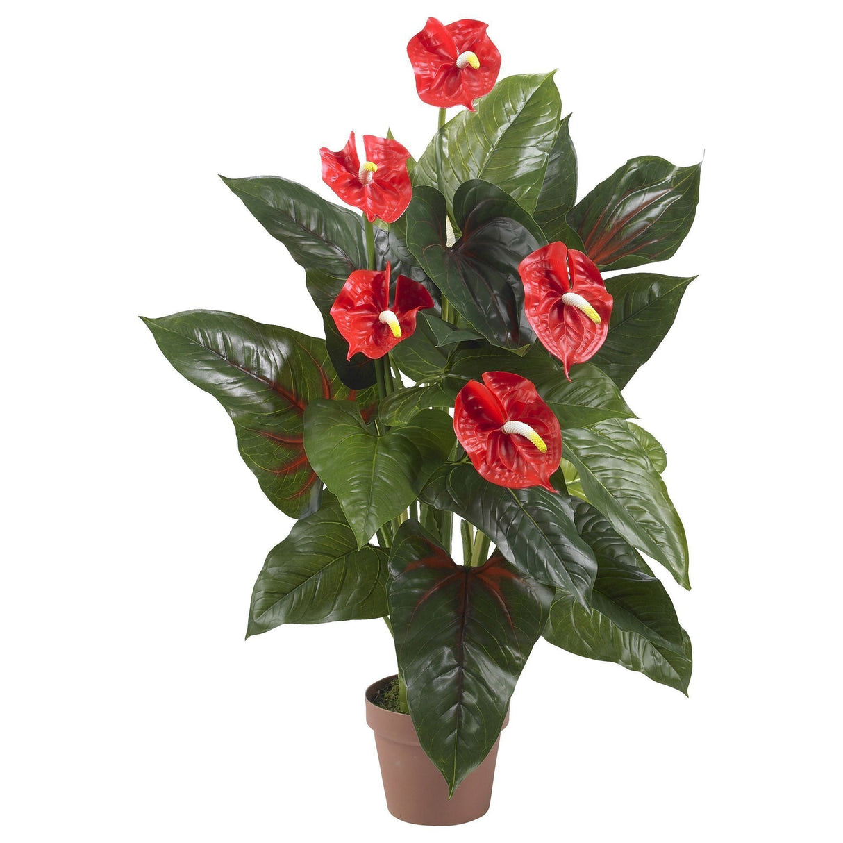3’ Anthurium Silk Plant (Real Touch)-Parc Decor