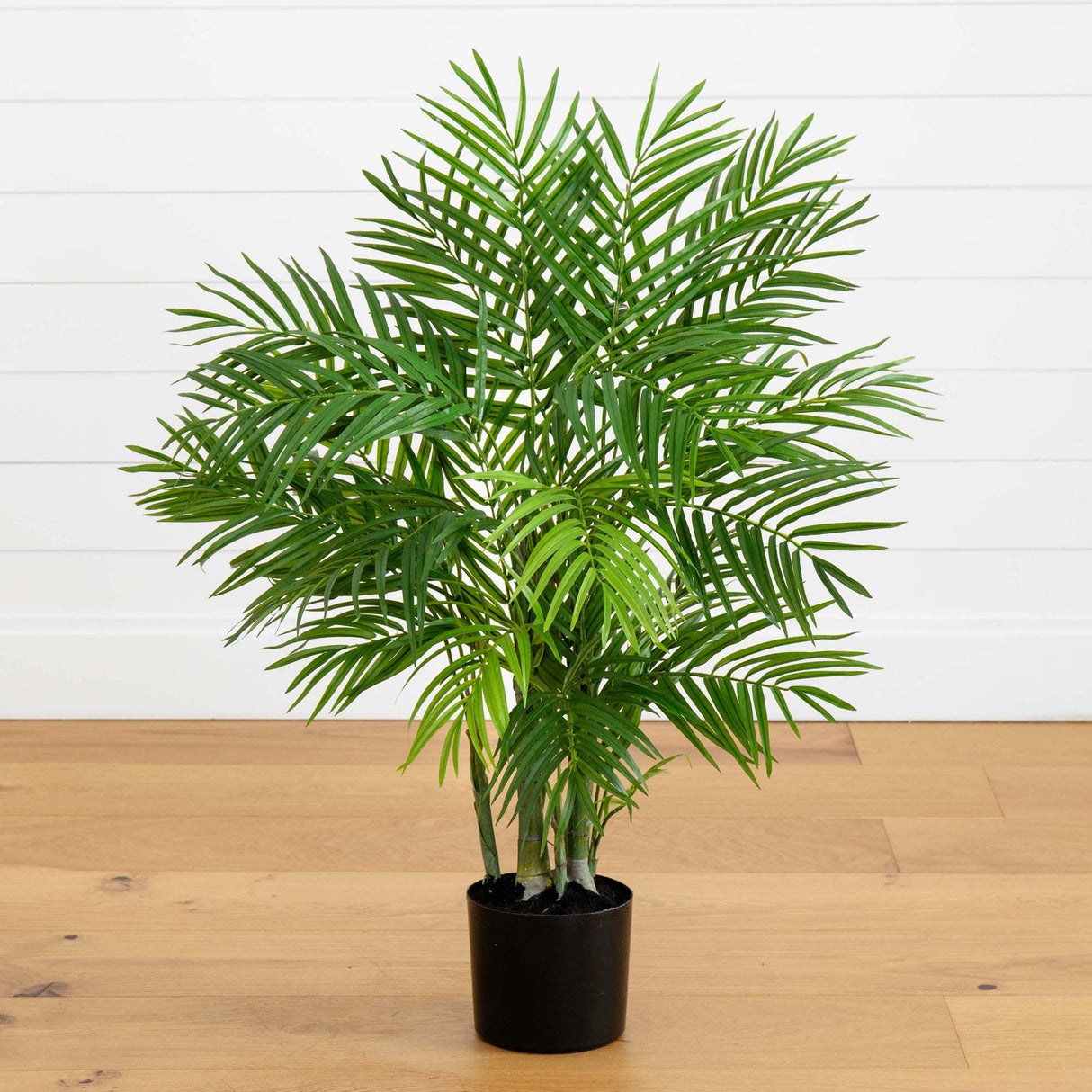 3' Areca Silk Palm Tree-Parc Decor