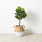 3' Artificial Fiddle Leaf Fig Tree with Handmade Cotton & Jute Woven Basket DIY Kit-Parc Decor