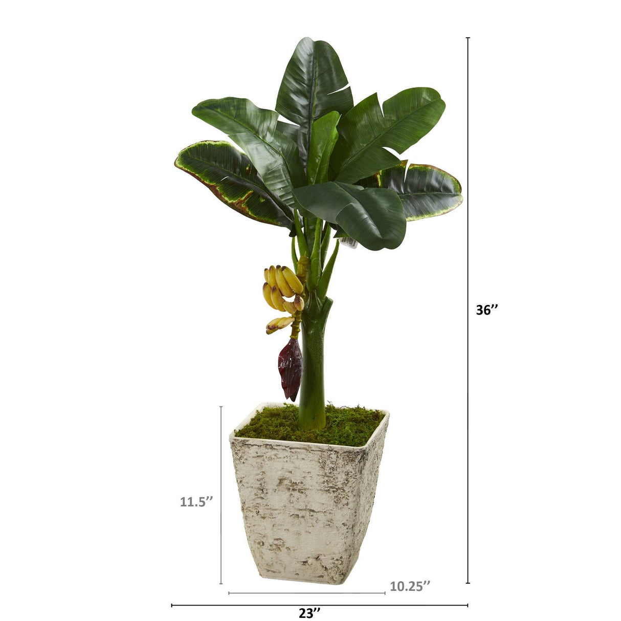 3’ Banana Artificial Tree in Country White Planter-Parc Decor