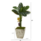 3’ Banana Artificial Tree in Country White Planter-Parc Decor