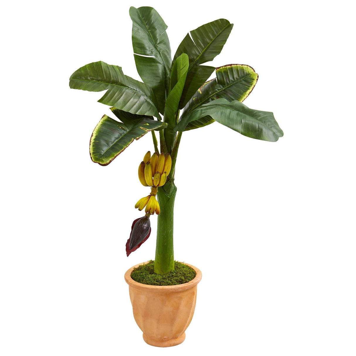 3’ Banana Artificial Tree in Terracotta Planter-Parc Decor