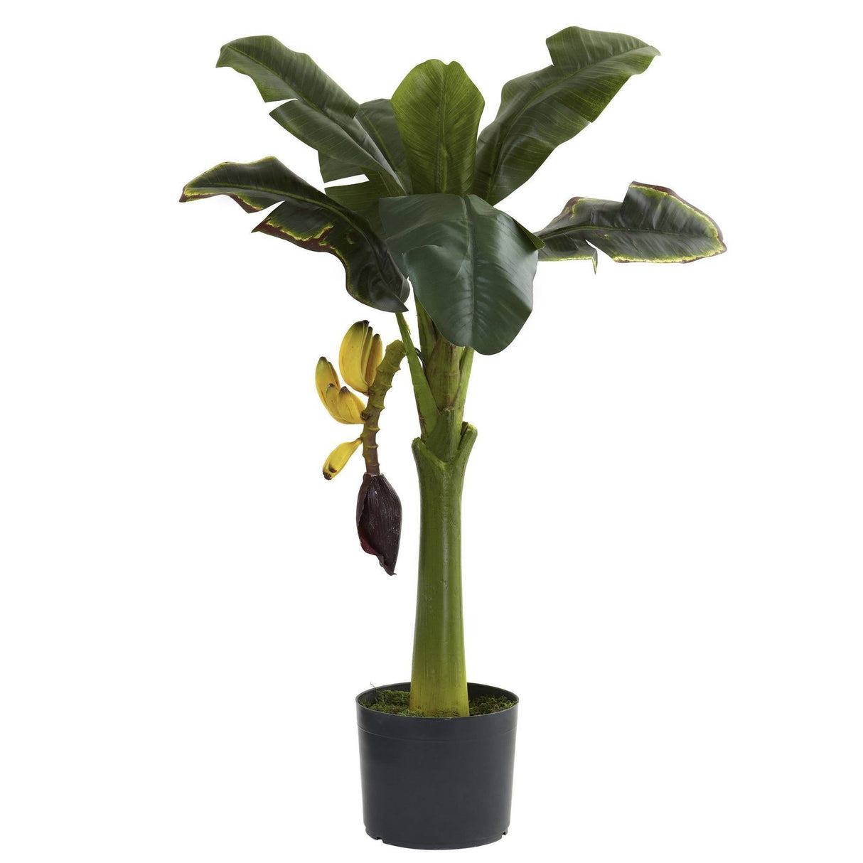 3’ Banana Tree-Parc Decor