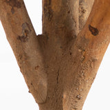 3’ Bonsai Styled Podocarpus Artificial Tree-Parc Decor