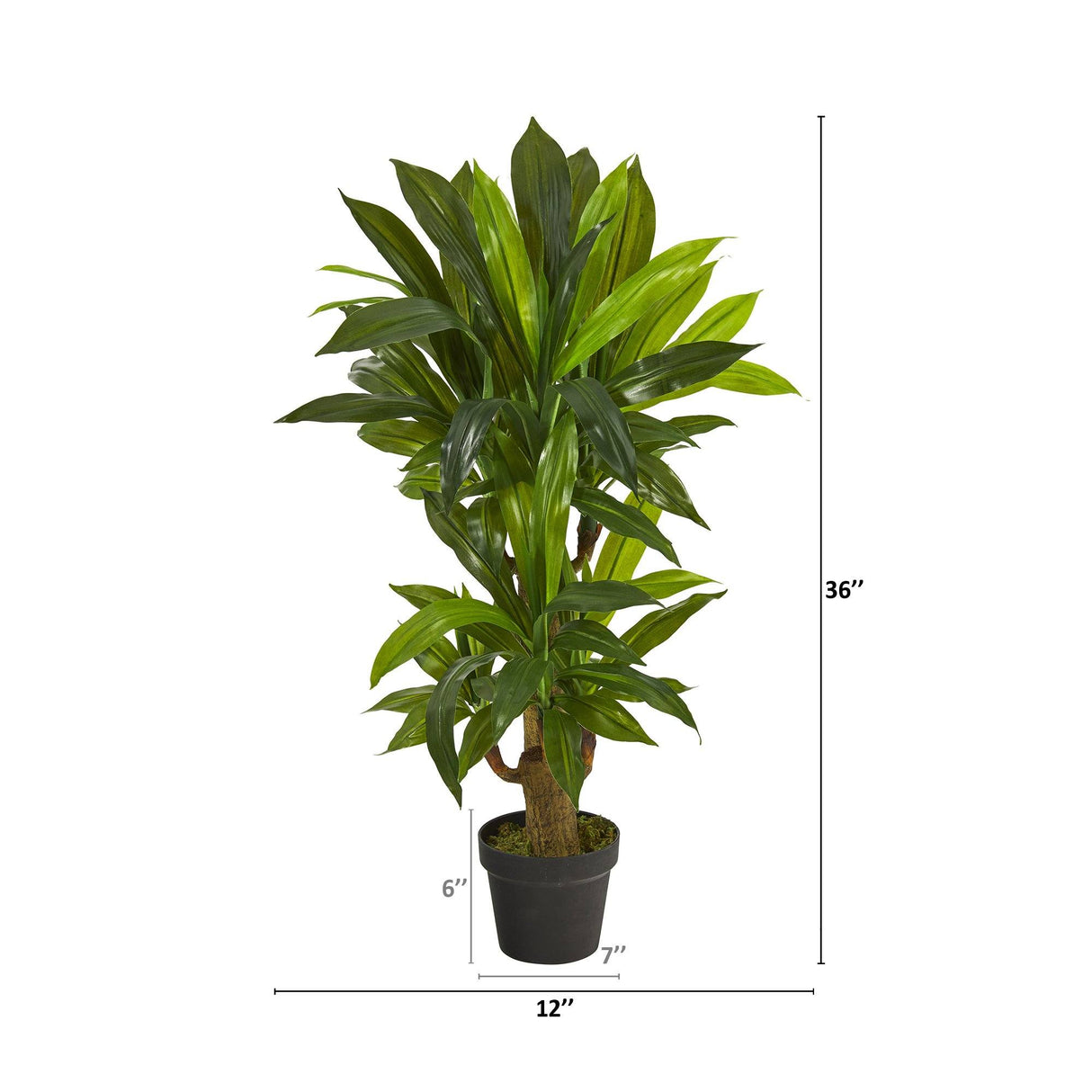 3' Corn Stalk Dracaena Artificial Plant (Real Touch)-Parc Decor