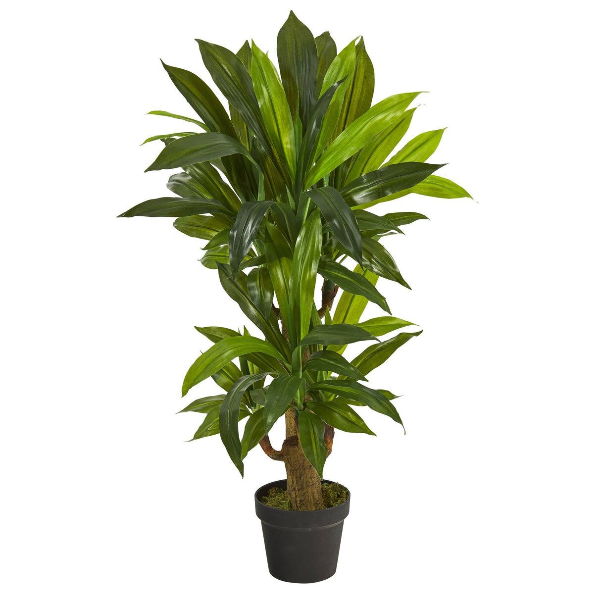 3' Corn Stalk Dracaena Artificial Plant (Real Touch)-Parc Decor