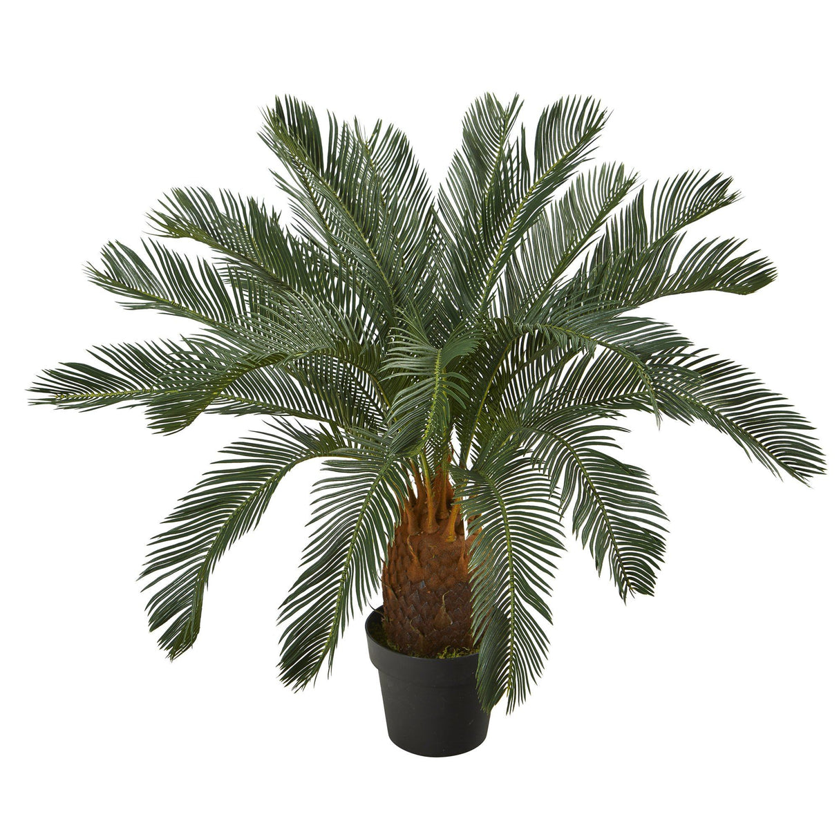 3’ Cycas Artificial Tree-Parc Decor