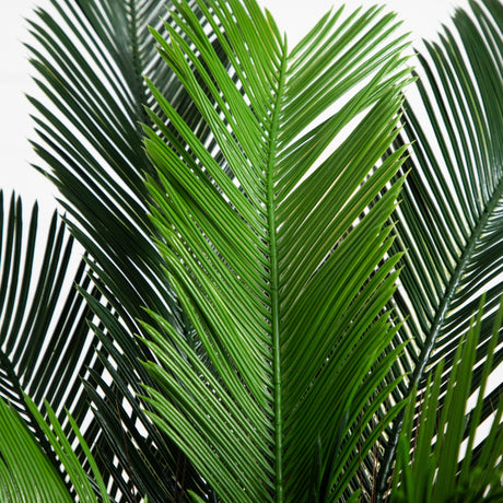 3’ Cycas Palm Tree UV Resistant (Indoor/Outdoor)-Parc Decor