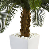 3’ Cycas Tree in White Tower Planter-Parc Decor