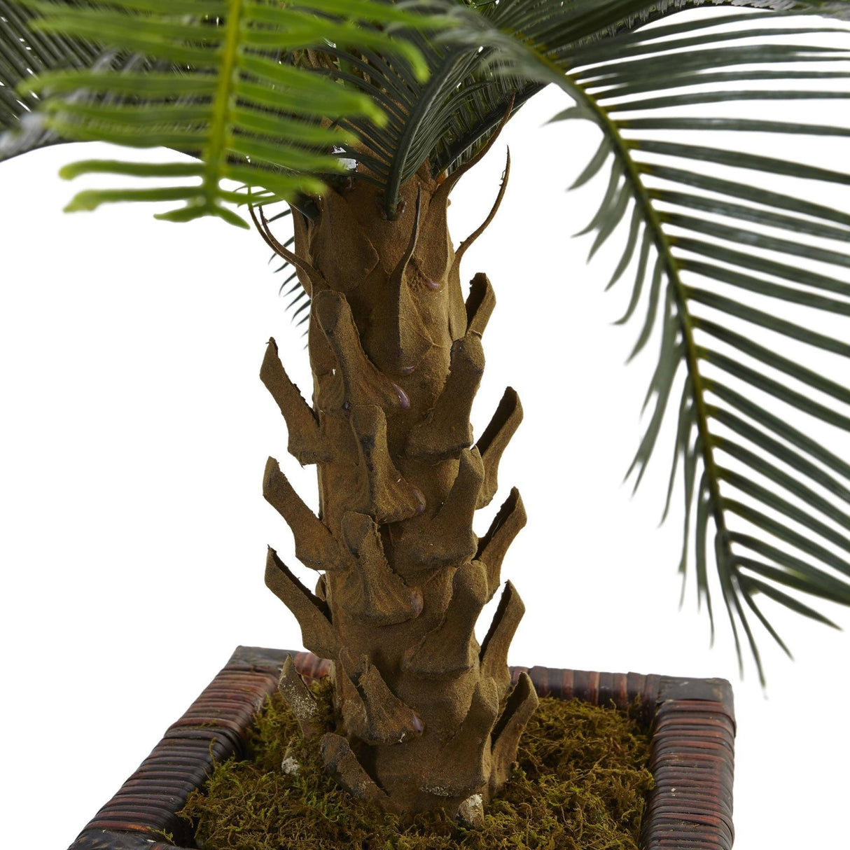 3’ Cycas Tree in Wood Planter-Parc Decor