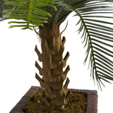 3’ Cycas Tree in Wood Planter-Parc Decor