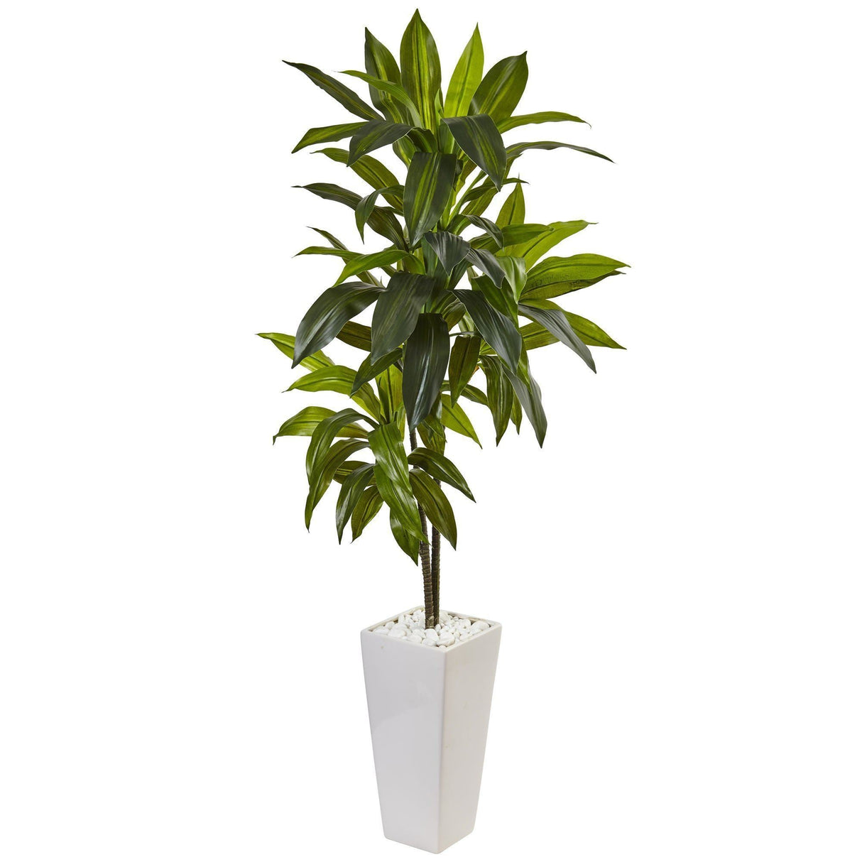 3’ Dracaena Plant in White Tower Planter-Parc Decor