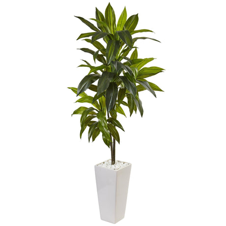 3’ Dracaena Plant in White Tower Planter-Parc Decor