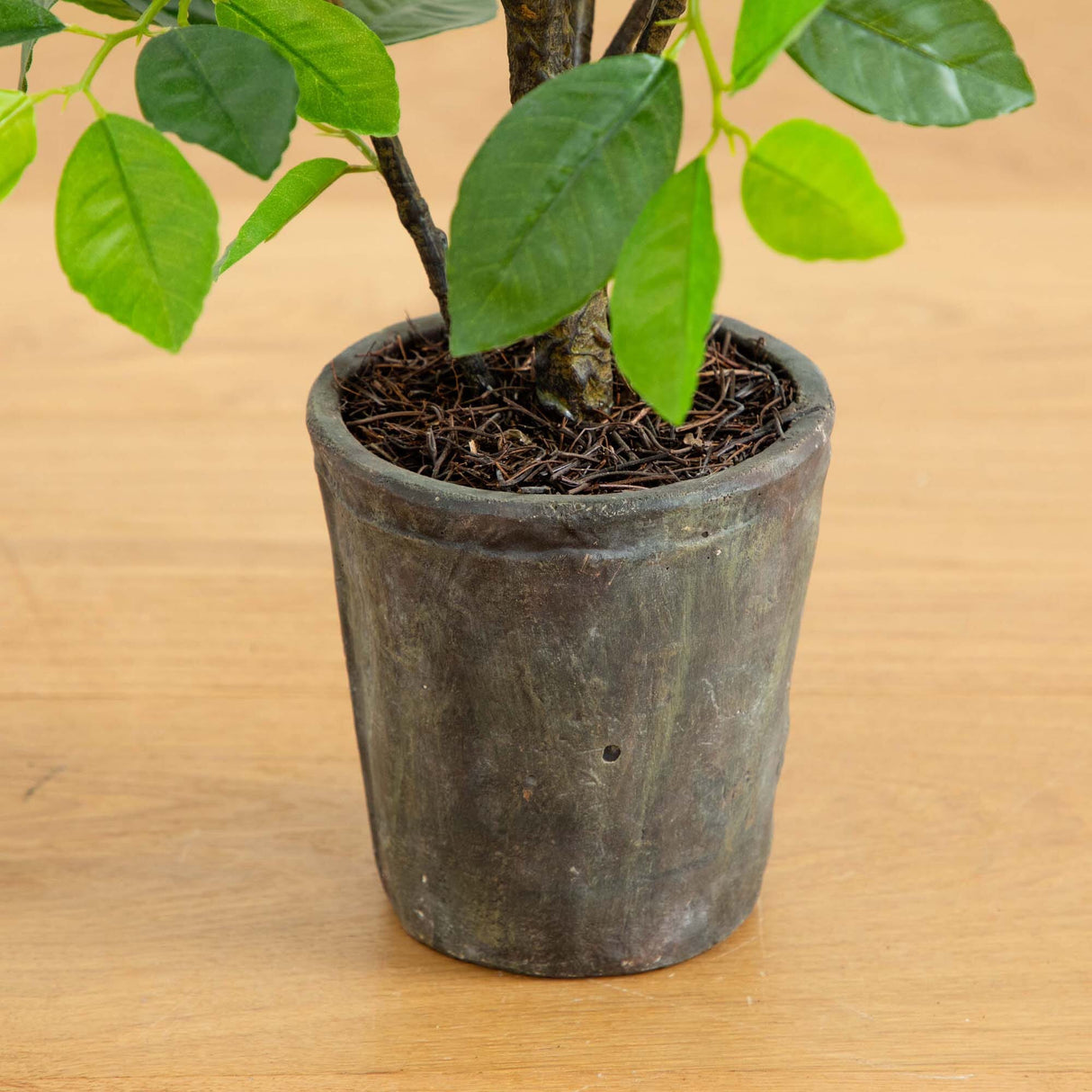 3’ Ficus Artificial Tree in Planter-Parc Decor