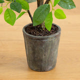 3’ Ficus Artificial Tree in Planter-Parc Decor