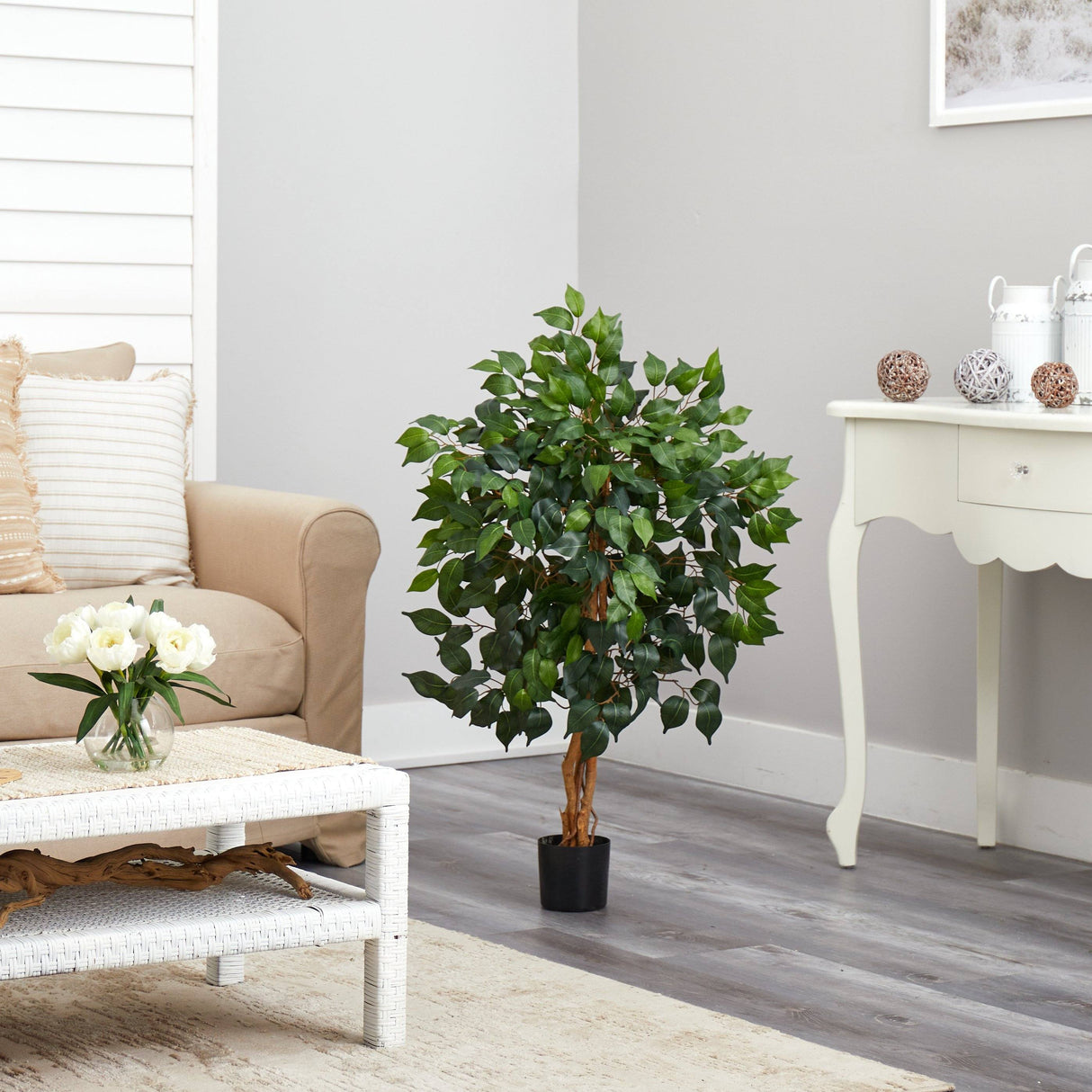 3' Ficus Silk Tree-Parc Decor