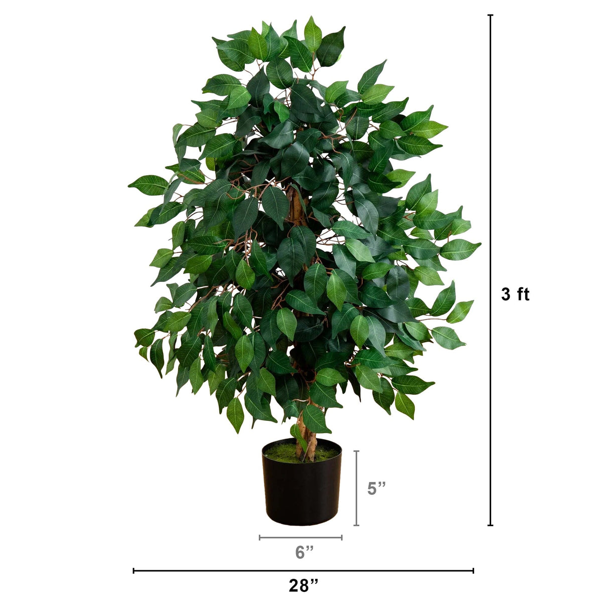 3' Ficus Silk Tree-Parc Decor