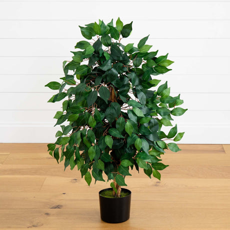 3' Ficus Silk Tree-Parc Decor