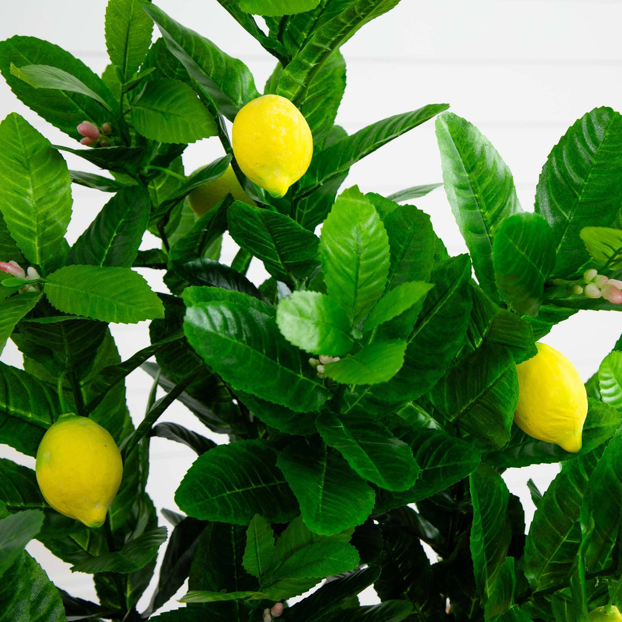 3’ Lemon Artificial Tree-Parc Decor