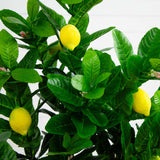 3’ Lemon Artificial Tree-Parc Decor