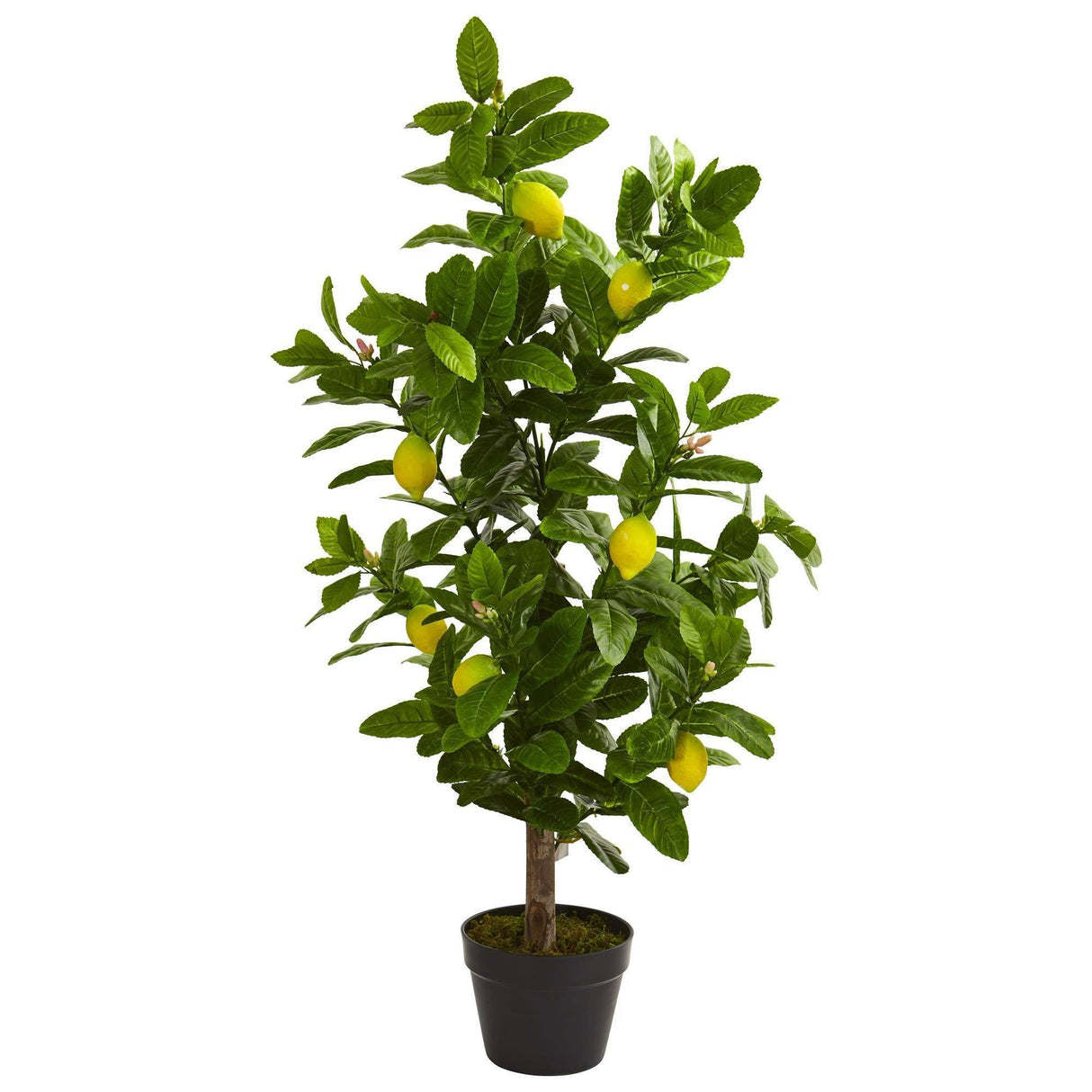 3’ Lemon Artificial Tree-Parc Decor