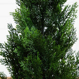 3’ Mini Cedar Pine Tree (Indoor/Outdoor)-Parc Decor