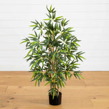 3' Multi Bambusa Bamboo Silk Tree-Parc Decor
