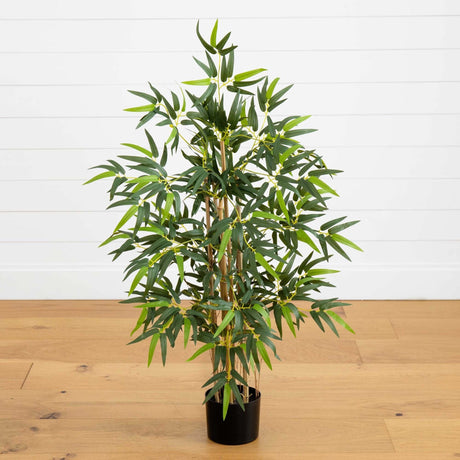 3' Multi Bambusa Bamboo Silk Tree-Parc Decor