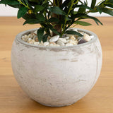 3’ Olive Cone Topiary Artificial Tree in Sand Stone Planter (Indoor/Outdoor)-Parc Decor