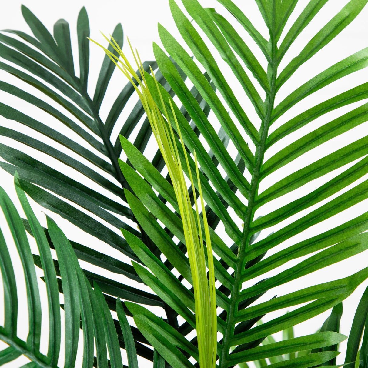 3’ Paradise Palm Artificial Tree-Parc Decor