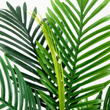 3’ Paradise Palm Artificial Tree-Parc Decor