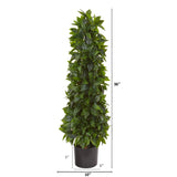 3’ Sweet Bay Cone Topiary Artificial Tree-Parc Decor